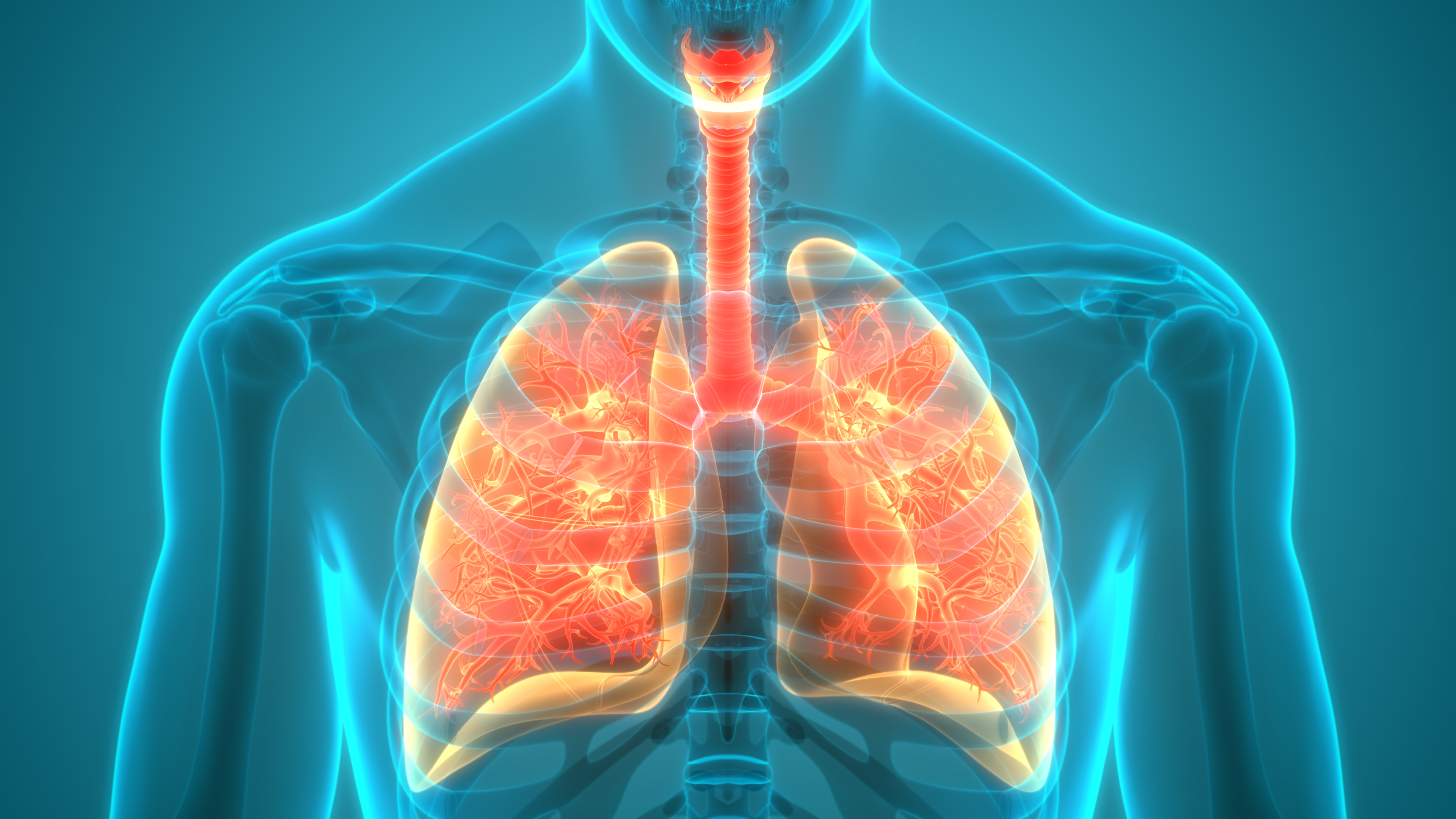 Duoneb Vs. Albuterol 2